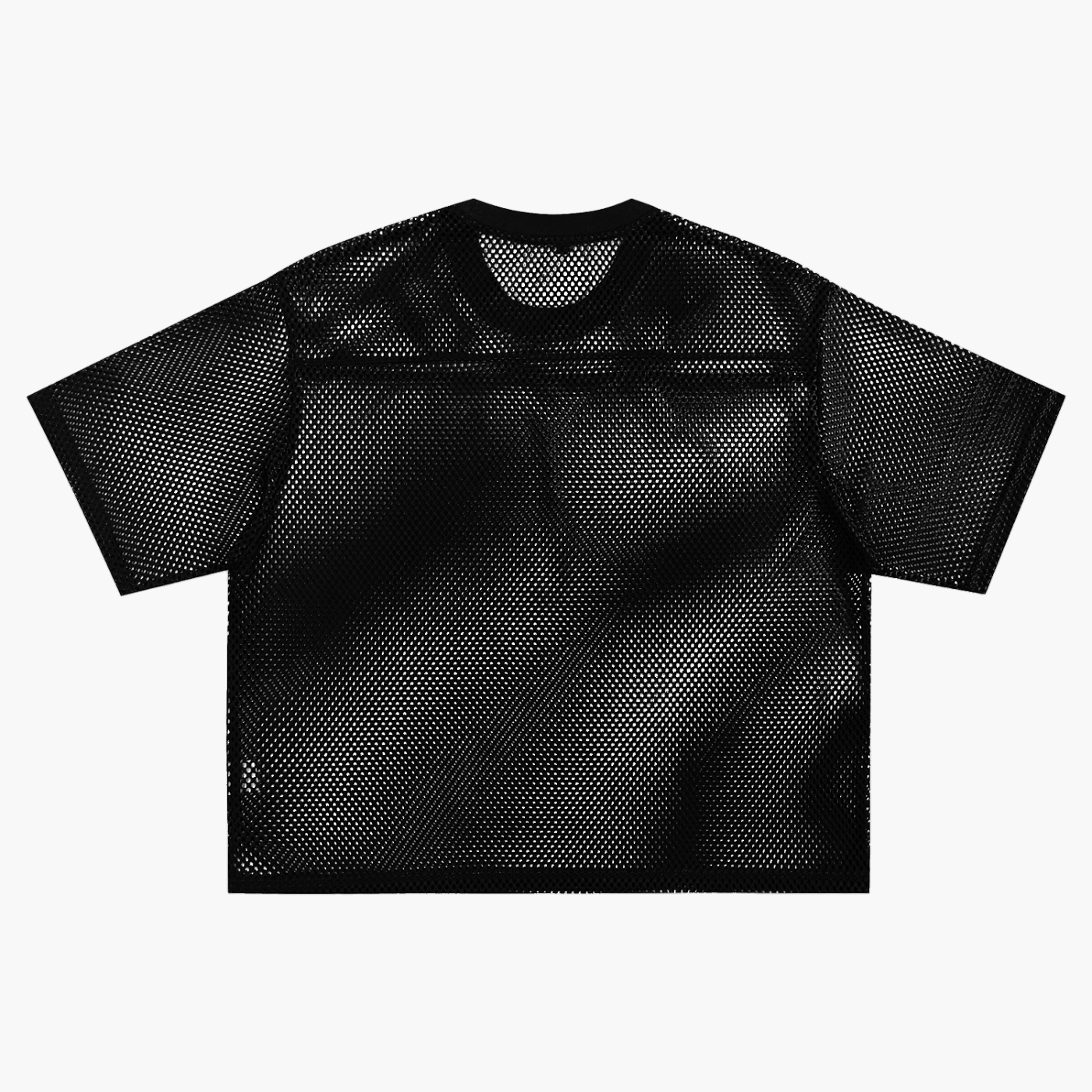 RIP See-through Boxy Net T-Shirt